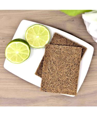 Biodegradable Natural Coconut Fiber and Rubber Latex Kitchen Scouring Pads Compostable Eco-Friendly Scrubber Non-Scratch Plastic-Free Scrubbers for Dishes and Cleaning 6 Pack - Buy Online on GoSupps.com