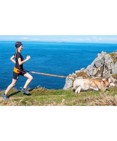 I-DOG Zugleine CanicRoss One - Premium Dog Leash for Safe International Walks - Buy Online on GoSupps.com
