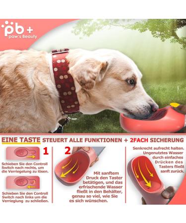 Buy NEW 3 Series Dog Drinking Bottle Gift Set | 550ml Leak-Proof & On-the-Go | Includes Feed Bag & Toothbrush | Premium Pink Dog Bottle - Buy Online on GoSupps.com