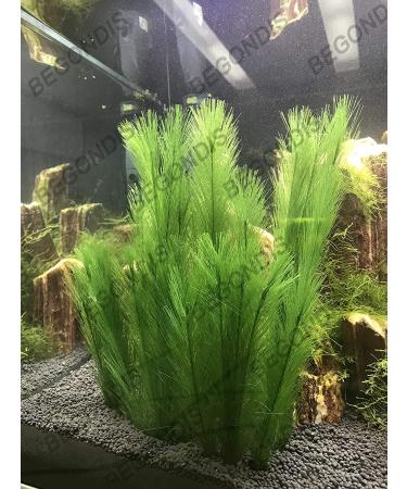 BEGONDIS Aquarium Decorations 3Pcs Silk & Plastic Green Water Plants for Fish Tank - 11 Inches - Buy Online on GoSupps.com