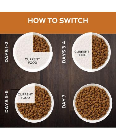 Purina Pro Plan Veterinary Diets NF Kidney Function Early Care Feline Formula Adult Dry Cat Food - 8 lb Bag - Buy Online on GoSupps.com
