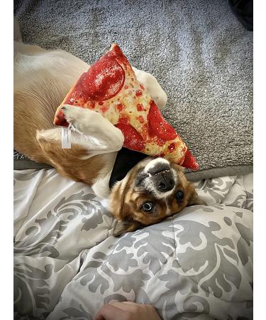 Doggijuana Juananip Refill | Premium Organic Ground Catnip for Dogs | USA Grown | All Natural | Pack of 1 - Buy Online on GoSupps.com