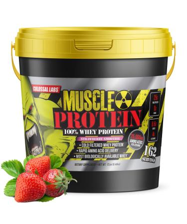 GL Colossal Labs Monster Muscle Protein (12 Pound (Pack of 1), Strawberry) Strawberry 12 Pound (Pack of 1)
