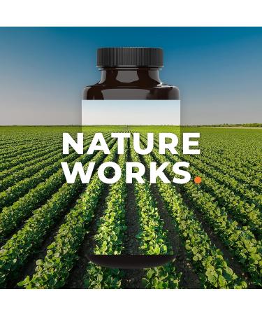 Life Seasons Migra-T Migraine Relief Supplement - Natural Headache Relief with Feverfew, Magnesium, and CoQ10 - 60 Capsules - Buy Online on GoSupps.com