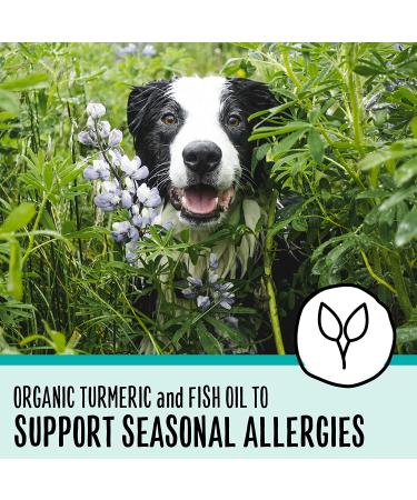 Premium Dog Food for Adults (1-7 Years) | Nutritious & Balanced Diet - Buy Online on GoSupps.com