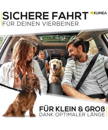 Kuinea Elastic Dog Seat Belt - Universal Car Safety Harness for All Breeds | Durable Dog Car Accessories - Buy Online on GoSupps.com