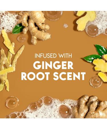 Head & Shoulders Ginger 2-in-1 Anti-Dandruff Shampoo + Conditioner 370 mL - Buy Online on GoSupps.com