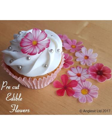 Beautiful Pink Butterfly Cake Decorations - Edible Rice Wafer Paper for Cupcakes & Desserts | 12-Piece Set for Birthdays Weddings & Baby Parties - Buy Online on GoSupps.com