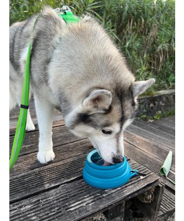 Ohmo Dog Travel Bowl - No Drooling Large 1000ml Portable Water Bowl | Anti-Sloppy Foldable Pet Bowl for Road Trips | Unique Blue-Green Design - Buy Online on GoSupps.com