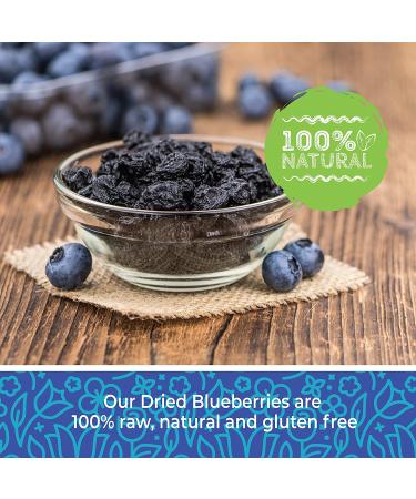 Bulk Dried Blueberries - Unsweetened, Non-GMO, 1 lb - Whole Dry Blue Berries - Dehydrated & All Natural - Buy Online on GoSupps.com