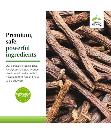 Terry Naturally Stomach & Intestinal Relief - Supplement to Aid Digestive Health & Intestinal Lining - Aids Against Occasional Digestive Discomfort to Soothe Stomach - 60 Capsules - Buy Online on GoSupps.com