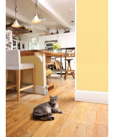 Multivet Scccat Kit - Complete Solution for Cat Healthcare - Buy Online on GoSupps.com