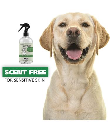 WAHL Scent-Free Pet Odor Neutralizer Spray - 8 oz (Model 820012) | For Dogs Skin and Coat - Buy Online on GoSupps.com