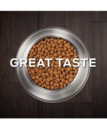 Purina Pro Plan Veterinary Diets NC NeuroCare Canine Formula 6 lb. Dry Dog Food - Buy Online on GoSupps.com