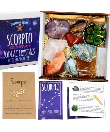 DANCING BEAR Scorpio Zodiac Healing Crystals Gift Set, (14 Pc): 9 Stones, 18K Gold-Plated Constellation Necklace, Meteorite, Succulent Candle, Palo Santo Smudge Stick, and Info Guide, Made in The USA
