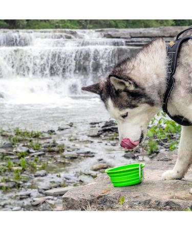 Mighty Paw Foldable Dog Bowl Set | 2-Piece Silicone Travel Bowl (Green) - Light Leak-Proof Large Capacity for International Orders - Buy Online on GoSupps.com