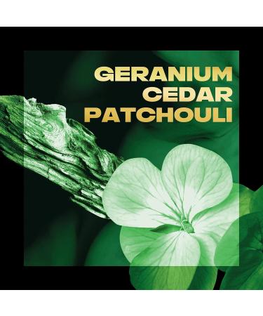 AXE Fine Fragrance Collection Aluminum No Deodorant Stick for Men Green Geranium 4 Count with 48H Odor Protection and All-Day Freshness Infused with Geranium Cedar & Patchouli Essential Oils 2.6 oz - Buy Online on GoSupps.com