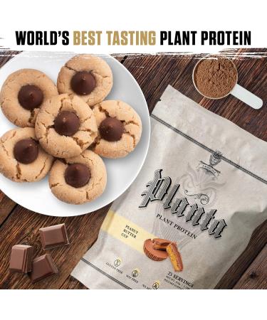 Ambrosia Planta - Plant-Based Protein Powder 20g | Dairy Free Vegan Protein Powder with BCAA Amino Acids | Keto-Friendly No Added Sugar | 25 Servings | Peanut Butter Cup - Buy Online on GoSupps.com