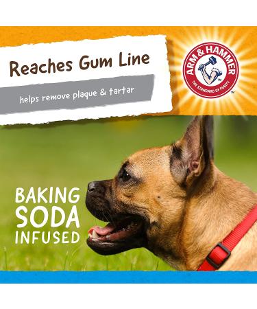 Arm & Hammer Nubbies Dental Chew Toy for Dogs - Plaque & Tartar Control Gator Toy - Buy Online on GoSupps.com