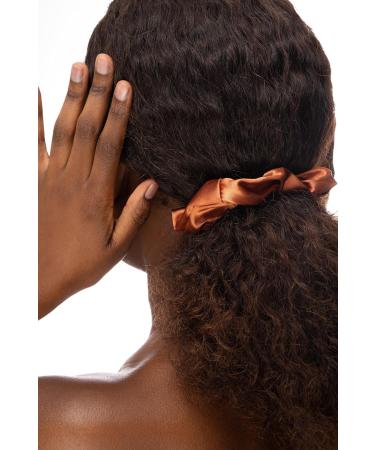 Brushworks Satin Nude Hair Tie - Luxurious Non-Damaging Hair Accessories for Effortless Style - Buy Online on GoSupps.com