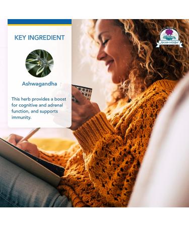 Ayush Herbs Ashwagandha Capsules - Stress & Cognitive Support - Adrenal Health - Energy Boost - 120 Vegetarian Capsules - Buy Online on GoSupps.com