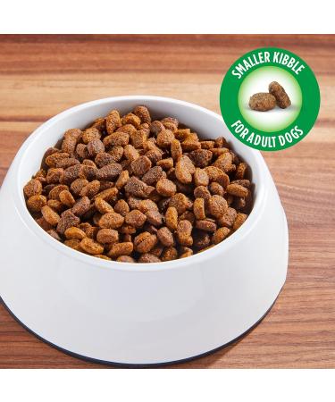 IAMS PROACTIVE HEALTH Dog Food Dry Minichunks Adult Lamb & Rice Recipe 1.50kg Bag 1.5 kg Dog Food - Buy Online on GoSupps.com