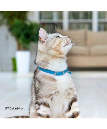 Collardirect Leather Cat Safety Collar | Adjustable Kitten Neck Band with Bell | Vibrant Colors - 15-18 cm - Buy Online on GoSupps.com