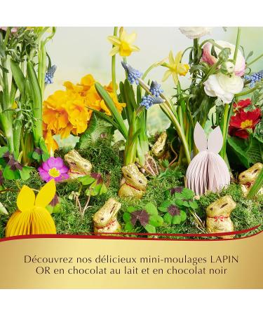 Lindt - Box of Mini-Moulages GOLD RABBIT - Milk Chocolate - Ideal for Easter 700g - Buy Online on GoSupps.com