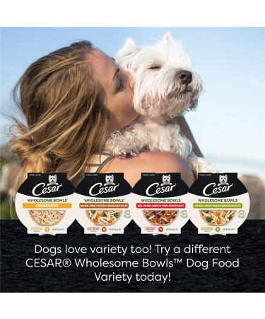 Cesar Wholesome Bowls Wet Dog Food Variety Packs - Chicken & Sweet Potatoes - 3 oz (Pack of 6) - Buy Online on GoSupps.com