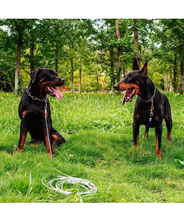 FRAMNG 2 Pack Dog Tie Out Cable Reflective Tie-Out Cable 10ft Steel Wire Rope for Dogs Up to 80 Pound Heavy-Duty Dog Runner Tie Out Cable Dog Lead Line for Yard Camping Outside (3 Meter) - Buy Online on GoSupps.com
