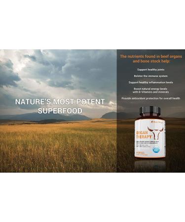 SaltWrap Organ Therapy - Grass Fed Beef Organ Meat Complex with Bone Broth Concentrate - 90 Capsules - Buy Online on GoSupps.com