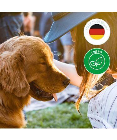 Jack & the Tub Dog Shampoo Mild Mint 500 ml - Nourishing Dog Shampoo with Conditioner & Refreshing Mint Scent for All Breeds | International Shipping - Buy Online on GoSupps.com