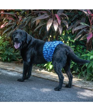 Buy Cuteebone Male Washable Dog Diapers - 3 Reusable Belly Bands with Velcro Fastener | High-Suction Dog Wraps for XL Sizes (53.5-68.5cm) - International Shipping Available - Buy Online on GoSupps.com
