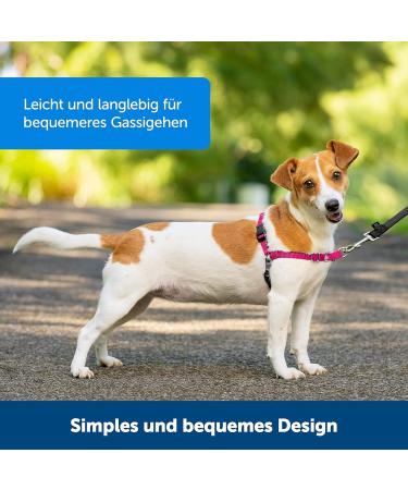 Buy PetSafe Easy Walk Harness - Anti-Pull Dog Harness (Size M Pink) with 1.8M Leash | Reduces Choking & Coughing - Shop Internationally! - Buy Online on GoSupps.com