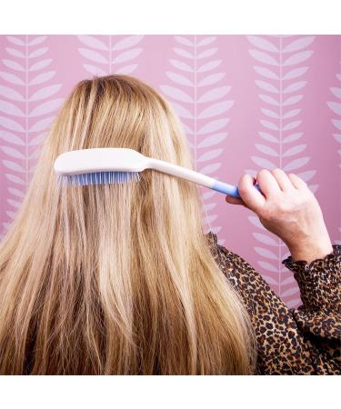 Shop Aidapt VM700 Long Handled Brush and Comb Set - Ideal for Easy Grooming & International Shipping - Buy Online on GoSupps.com