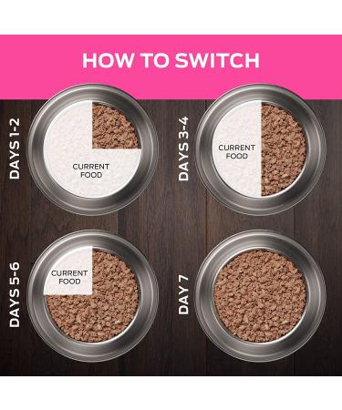 Purina Pro Plan Veterinary Diets UR Urinary Ox/St Canine Formula Wet Dog Food - 12 Pack - Buy Online on GoSupps.com