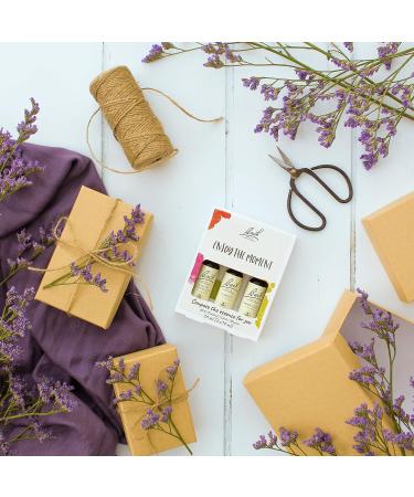 Bach Original Flower Remedies Vegan Formula Bundle - Emotional Wellness Support - White Chestnut, Larch, Mimulus - 3 x 10ml - Buy Online on GoSupps.com