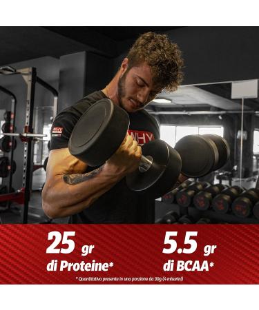 WHY SPORT EGG Protein Powder - 100% Lactose-Free Egg Albumin - Cocoa Flavor - 750g - Premium International Shipping - Buy Online on GoSupps.com