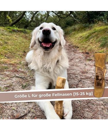 Zoys Coffee Wood Natural Chewing Bones for Dogs - Size L (15-25kg) | Caustab Dental Care & Sustainable Employment | Long-Lasting Dog Accessories - 1 Piece - Buy Online on GoSupps.com