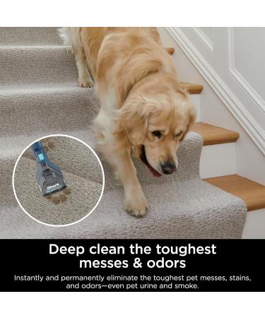 Shark CarpetXpert with StainStriker Area Rug & Upholstery Cleaner for Pets Built-In Spot & Stain Eliminator Deep Cleaning & Tough Stain Removal Carpet Shampooer EX200C (Canada Edition) - Buy Online on GoSupps.com