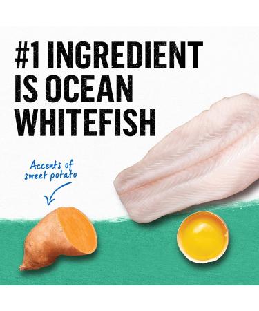 Beyond Grain Free Natural Dry Cat Food Wild-Caught Whitefish & Free Run Egg - 1.36 kg Bag 1.36 kg (Pack of 1) - Buy Online on GoSupps.com