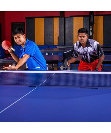 Champion Sports Table Tennis Set - 4 Player Bundle - Buy Online on GoSupps.com