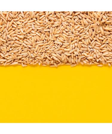 Yupik Organic Whole Oat Groats 1 kg Non-GMO Vegan Kosher Raw Whole Grain Oats Salt-Free Nutty Flavor Good Source of Fiber Ideal for Baking & Cooking 1 kg (Pack of 1) - Buy Online on GoSupps.com