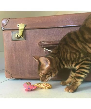 YEOWWW catnip toys for cats - organic very strong catnip fish stinkies sardines cat toys with catnip pack of 3 colourful patterns - 7.5cm long - Buy Online on GoSupps.com