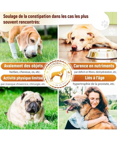 GastroBalance Constipation Relief for Dogs - 60 Laxative Dog Stool Softeners - Bacon Flavor (French) - Buy Online on GoSupps.com
