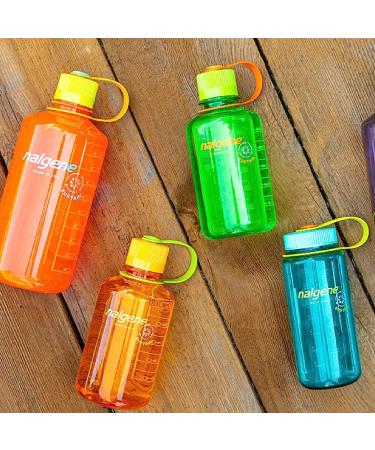 Nalgene Sustain Tritan BPA-Free Water Bottle Made with Material Derived From 50% Plastic Waste  16 OZ  Wide Mouth Aubergine Sustain Water Bottle - Buy Online on GoSupps.com