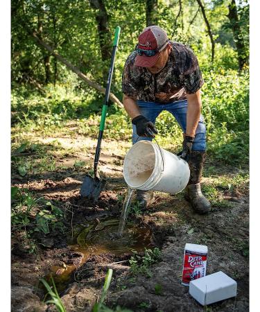 EVOLVED HABITATS Deer Cane Block Mineral Deer Attractant - Year-Round Concentrated Mineral Supplement - Buy Online on GoSupps.com