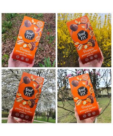 Feel Fit Protein Peanut Butter Chocolates - High-Quality Milk Chocolate | Sugar-Free 17% Protein Gluten-Free | 4-Pack (4 x 66g) - Buy Online on GoSupps.com