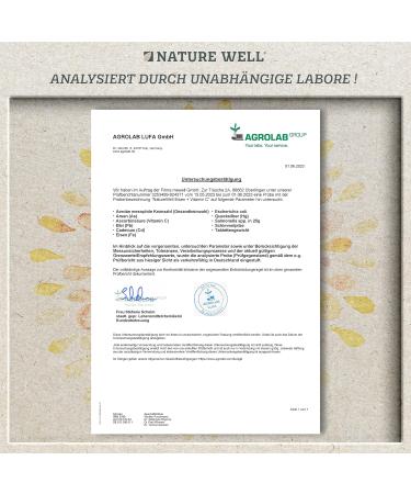 High-Dose Iron Tablets 3x180 - 40mg Vegan Iron Bisglycinate + Vitamin C from Rose Hips - Bioavailable No Additives - Buy Online on GoSupps.com