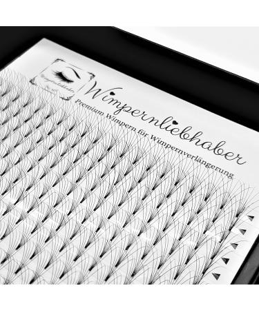 XXL Sparbox 6D Premade Eyelash Fans | 400 Compartments | 2400 Volume Eyelashes | C Curl Mix (8mm-10mm) for Professional Extensions - Buy Online on GoSupps.com